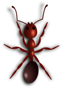Fire ants eat fleas!  Great Flea enemy...but can be a problem in a home yard. - Natural Flea Treatment Cats